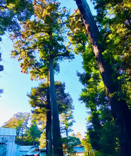 鹿島神宮(茨城県)