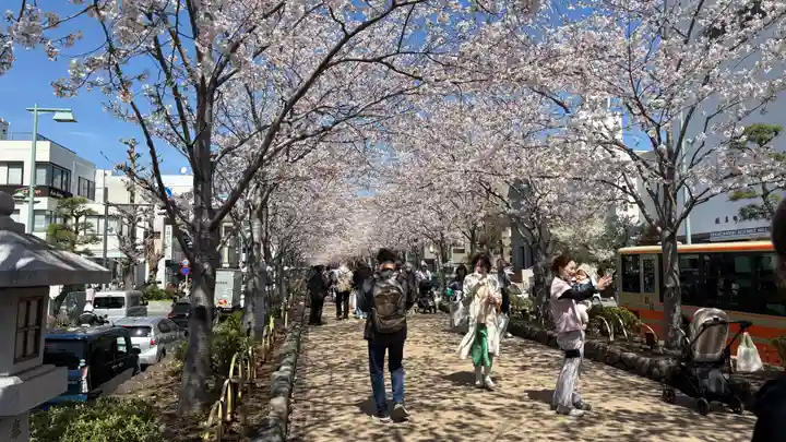 鶴岡八幡宮の自然