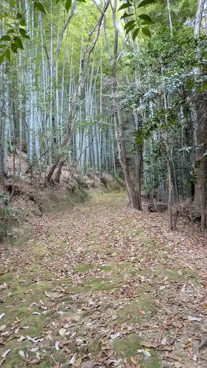 上花山旭稲荷神社(京都府)