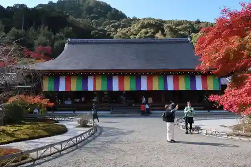 二尊院(京都府)