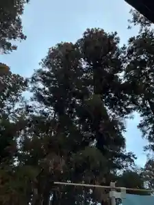 大宮温泉神社(栃木県)(2024年02月21日(水) 08時16分57秒投稿)