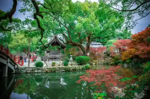 太宰府天満宮の庭園