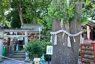 川越八幡宮(埼玉県)