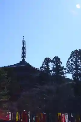 醍醐寺(京都府)