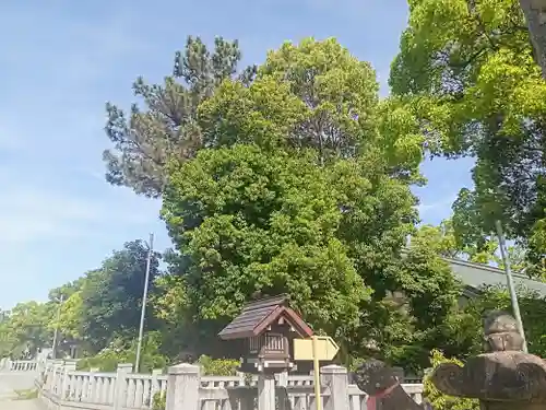 大鳥大社(大阪府)