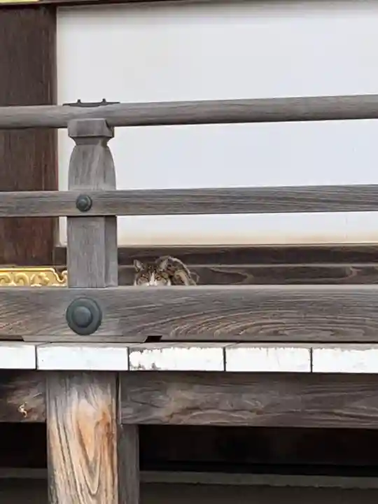 三寳寺のその他建物