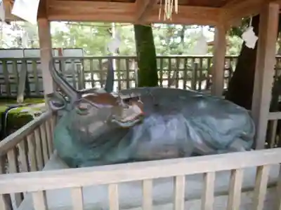 出雲大社(島根県)