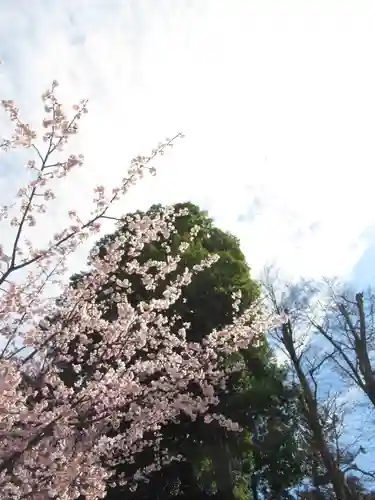 香取神社(千葉県)