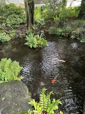 秩父今宮神社(埼玉県)