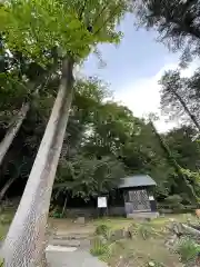 山下神明社の自然