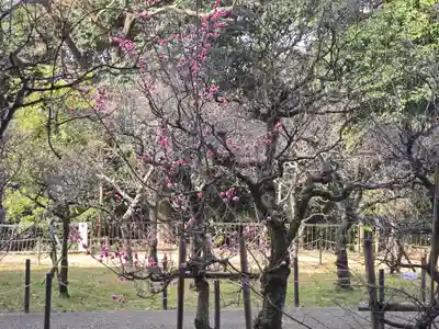 意賀美神社(大阪府)
