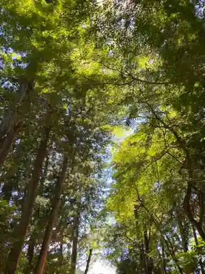 奥石神社(滋賀県)