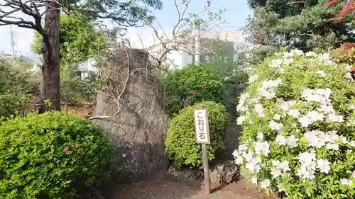 泰徳寺のその他建物