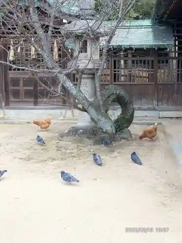 忌宮神社(山口県)