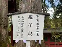 日光二荒山神社(栃木県)