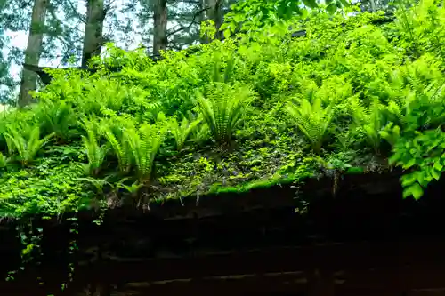 戸隠神社九頭龍社(長野県)