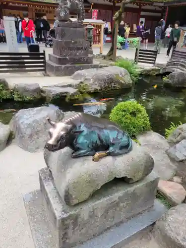 太宰府天満宮(福岡県)