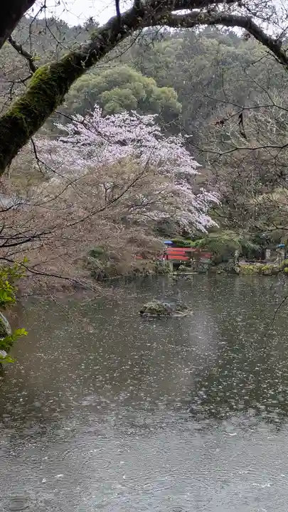 醍醐寺(京都府)