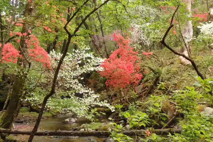 深山巴の宿の自然