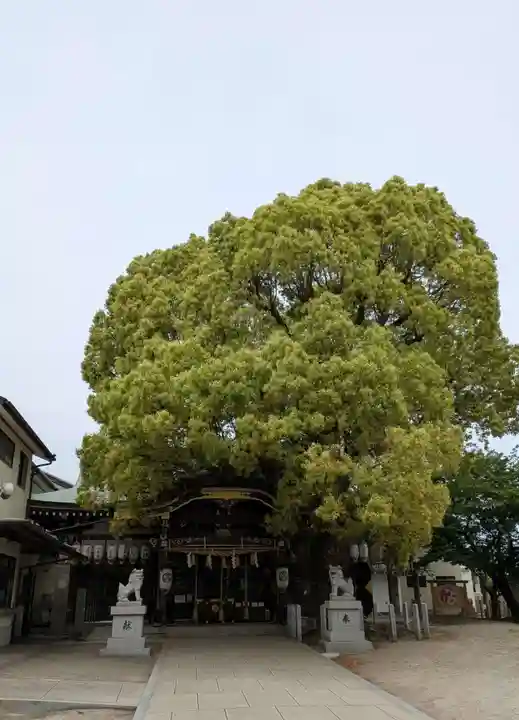 石津神社(大阪府)