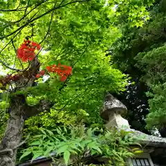 鹿島大神宮の自然