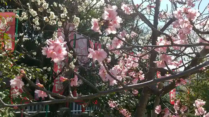 満福寺(三好稲荷閣)の自然