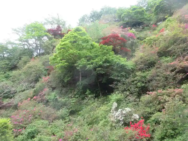 秩父札所三十二番 法性寺(埼玉県)