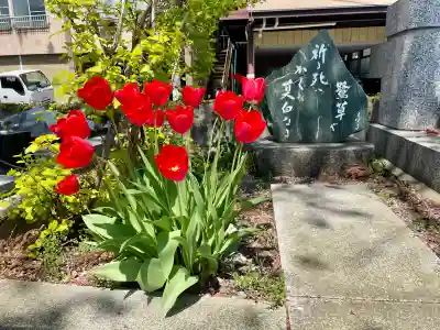 清林寺(福島県)