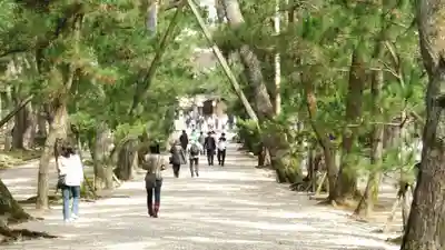 出雲大社(島根県)