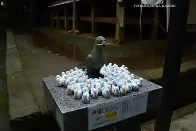 鶴嶺八幡宮(神奈川県)