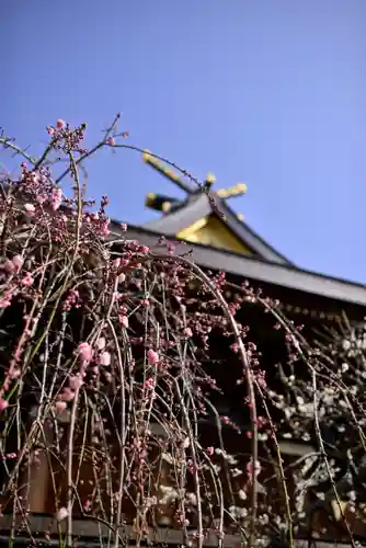 湯島天満宮の景色