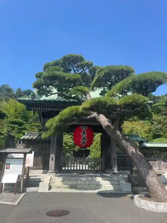 長谷寺(神奈川県)