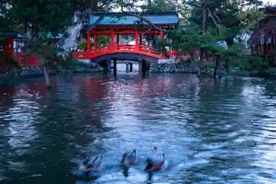 生島足島神社(長野県)