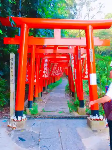 佐助稲荷神社の鳥居