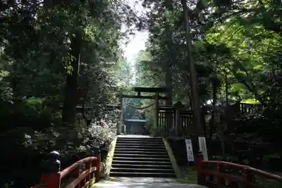 武蔵二宮 金鑚神社(埼玉県)