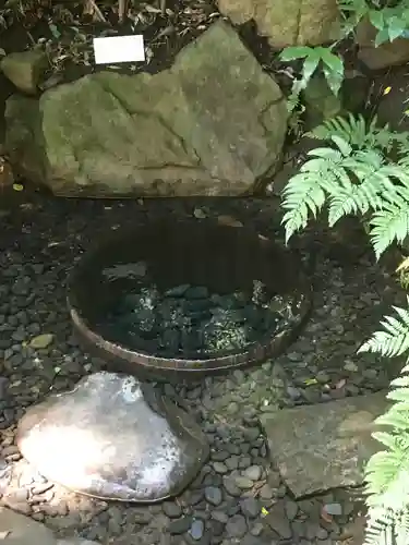 明治神宮(東京都)