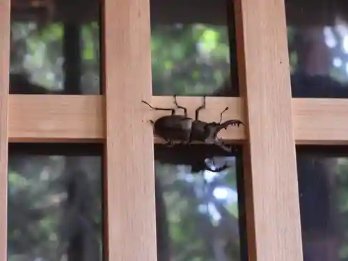 御嶽神社(王滝口）里宮(長野県)