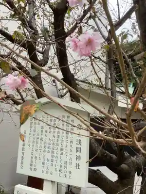富士浅間神社(愛知県)