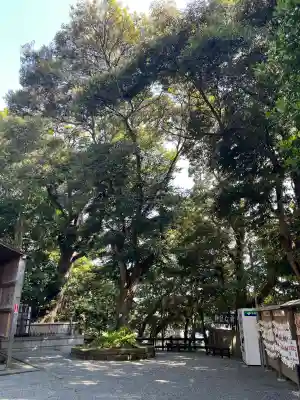 青木神社（笠間町）の{uncategorized: "未分類", other: "その他", undefined: "問題あり", building: "その他建物", grave: "お墓", sacred_gate: "鳥居", guardian: "狛犬", statue: "像", buddha: "仏像", history: "歴史", nature: "自然", garden: "庭園", animal: "動物", pagoda: "塔", temizu: "手水舎", mountain_gate: "山門・神門", sanctuary: "本殿・本堂", subordinate: "末社・摂社", art: "芸術", scenery: "景色", jizo: "地蔵", ema: "絵馬", goshuin: "御朱印", omikuji: "おみくじ", items: "授与品その他", amulet: "お守り", goshuincho: "御朱印帳", eats: "食事", festival: "お祭り", votive_dance: "神楽", shichigosan: "七五三参", wedding: "結婚式", experience: "体験その他", initially: "初詣", around: "周辺", anti_infection: "感染症対策"}