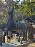 藤森神社(京都府)