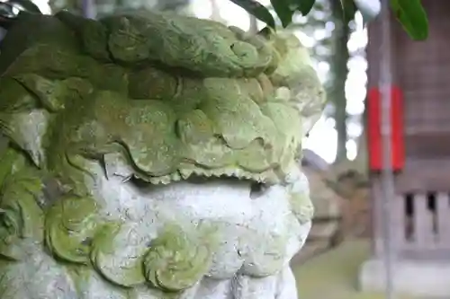 春日神社の狛犬