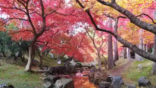龍興山神社の自然