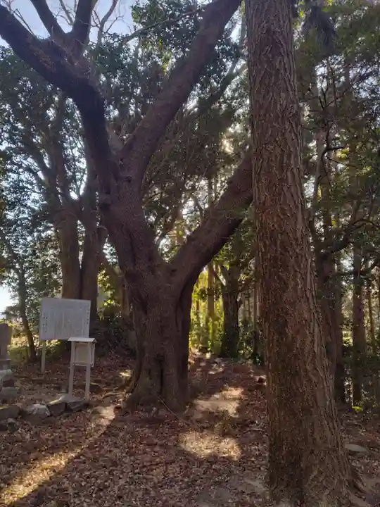 愛宕神社(渕ノ上)(宮城県)