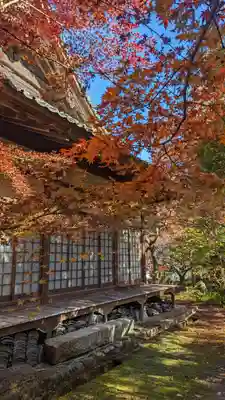 神藏寺(京都府)