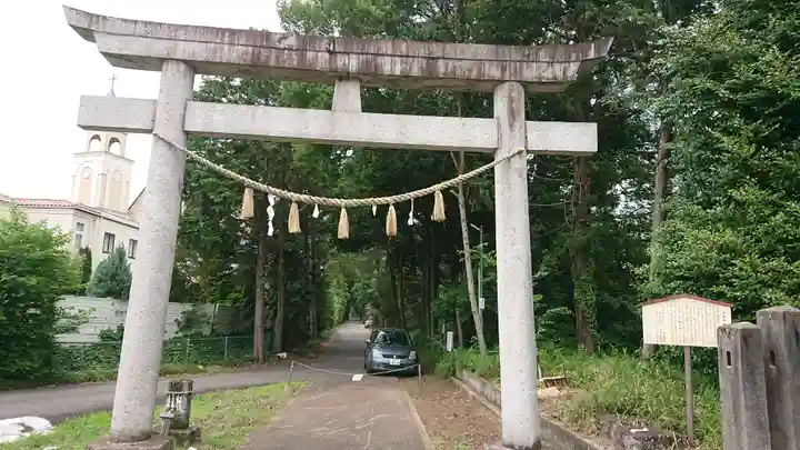 安房神社の鳥居