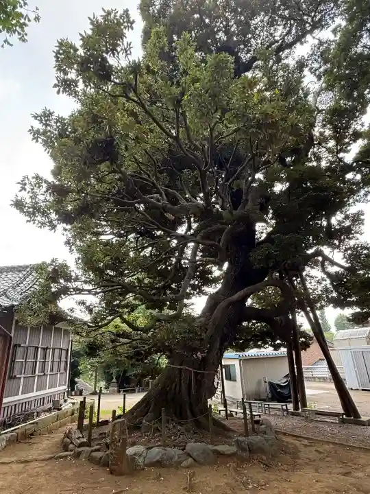 九重神社(埼玉県)