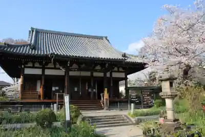 般若寺 ❁﻿コスモス寺❁(奈良県)