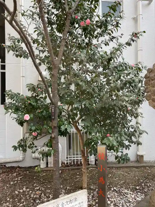 花園神社の自然