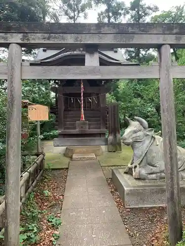 白岡八幡神社(埼玉県)