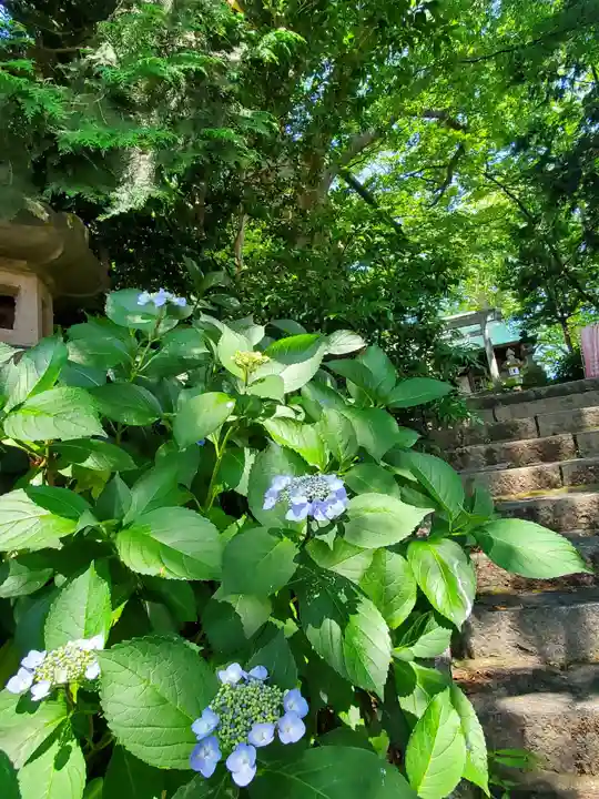 愛宕神社(福島県)